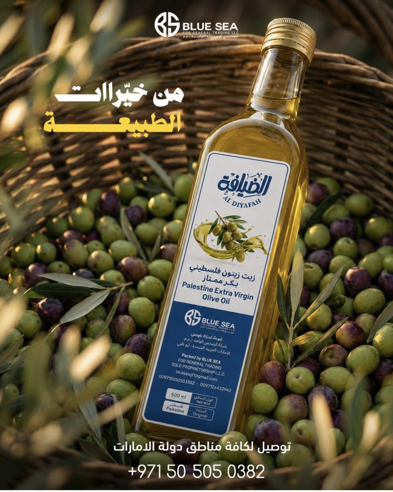 Palestinian Oil
